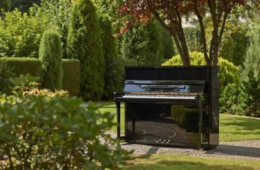 入門鋼琴指法圖解_鋼琴入門指法_入門鋼琴指法教程