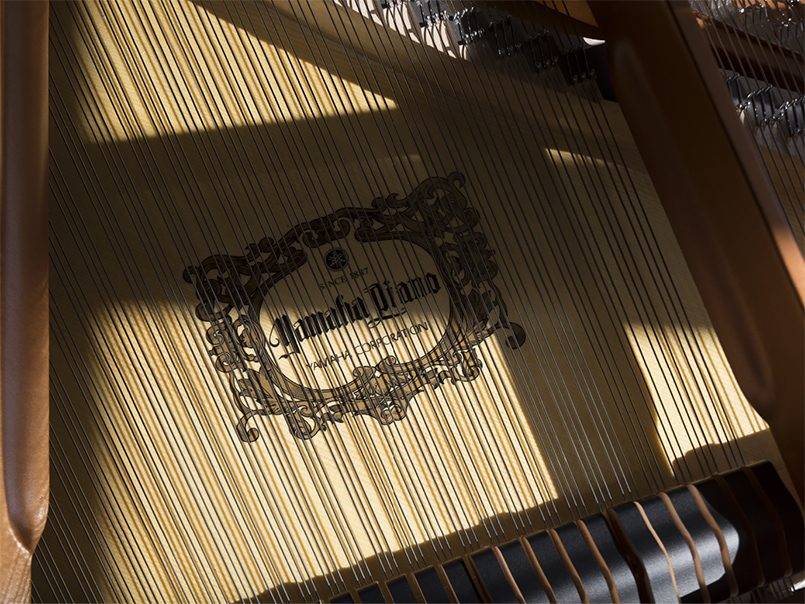 鋼琴和電鋼_電鋼琴和鋼琴的區(qū)別在哪里_鋼琴電鋼琴哪個好